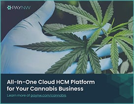 PayNW - Cannabis HCM Guide - Cover (300px)